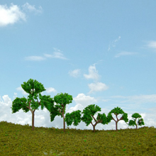 model trees